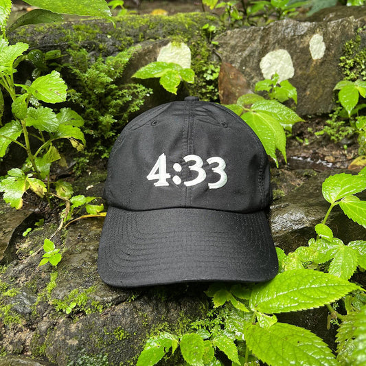 【GARBAGE】PRE CURVE BRIM 6PANEL CAP(4:33)